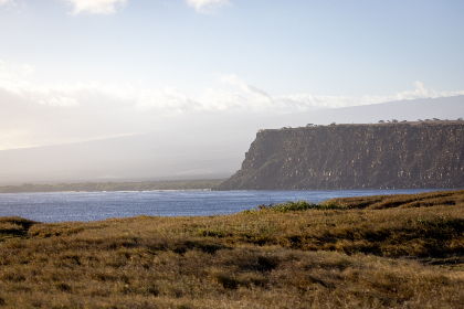 《武林风》今晚现场直播：热血格斗盛宴即将震撼上演