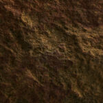 《爱情公寓4》网络直播引爆全网热议话题 o6ijlw0