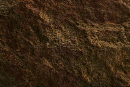 《爱情公寓4》网络直播引爆全网热议话题 《爱情公寓4》网络直播引爆全网热议话题